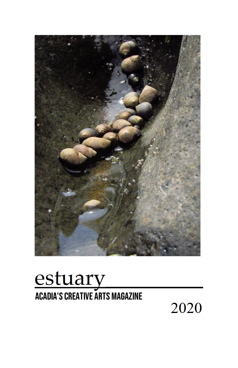 Estuary Fall 2020 Cover
