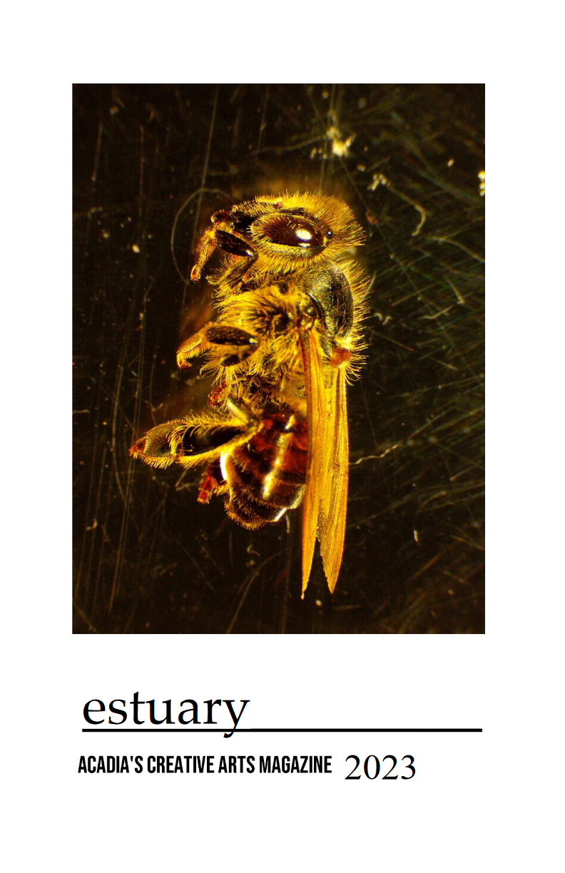 Estuary Fall 2023 Cover